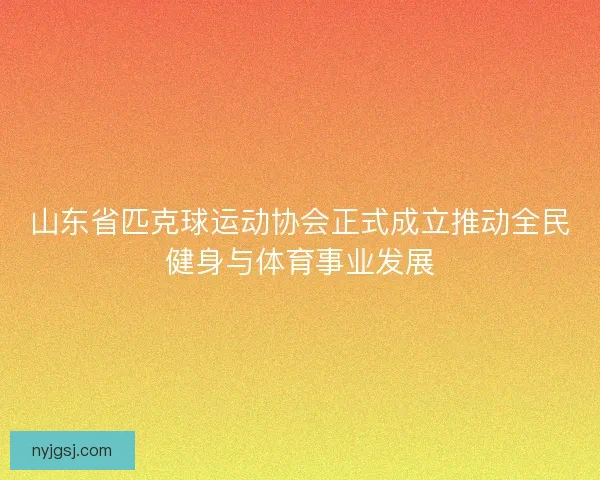 山东省匹克球运动协会正式成立推动全民健身与体育事业发展