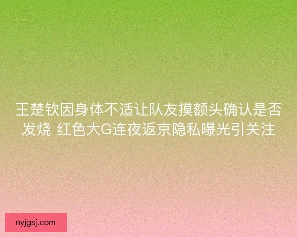 王楚钦因身体不适让队友摸额头确认是否发烧 红色大G连夜返京隐私曝光引关注